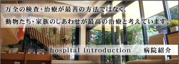 hospital introduction　　　病院紹介